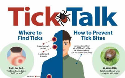 Putting the Bite on Ticks